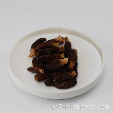 Jamur Morler Morel Frozen